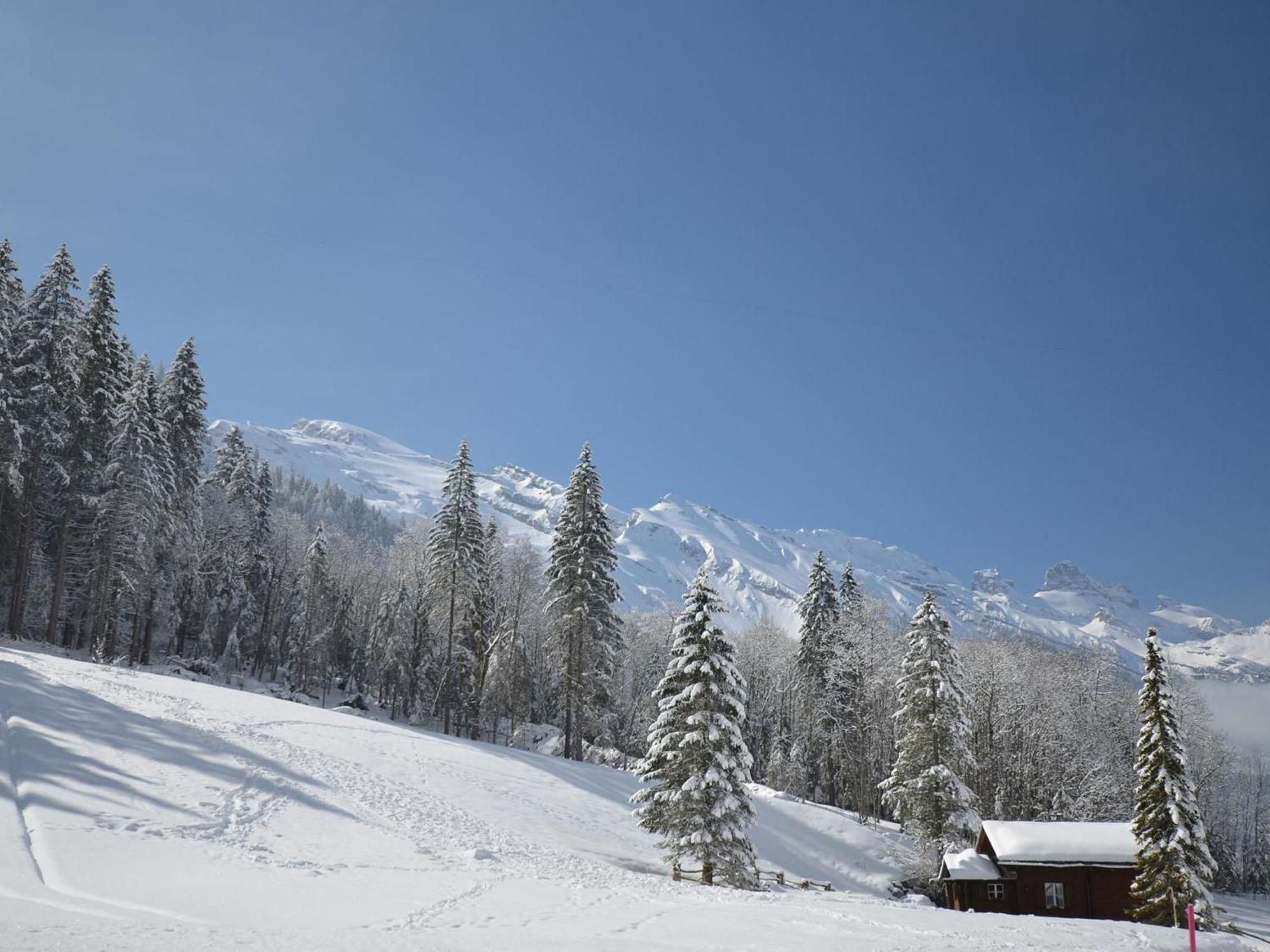 Apartment Chalet Heureka-Horbis By Interhome Engelberg Bagian luar foto